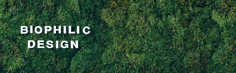 Biophilic design - white letters on green moss, grass background. Top view, copy space. Biophilia...