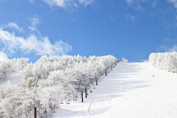 Fototapeta na wymiar 長野のスキー場の景色