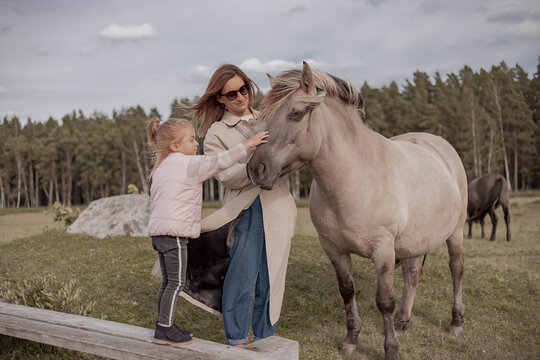 A young family have a fun in the field. Woman and child with a horse in national park. Mother with daughter pet a horse.