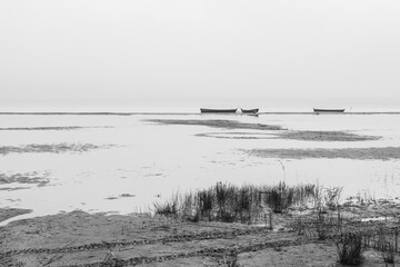 Foggy morning over the lake.