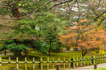 日本　石川県金沢市、兼六園の庭園