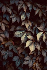 Fototapeta premium green plant leaves in the nature in atumn season