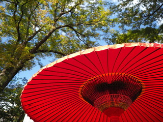 真っ赤な和傘がある風景