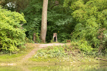 Unberührte Naturlandschaft am Altrhein, Naturschutzgebiet in der Nähe von Germersheim, Rheinland-Pfalz