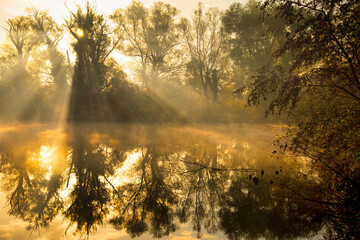 Novembermorgen in den Rheinauen in Taubergießen