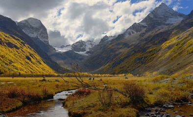 Fototapeta premium Autumn in mountains