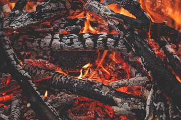Close-up Bonfire in the forest. Hiking in the wild forest concept. Background
