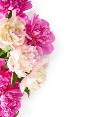 Bouquet of peony flowers over white background