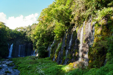 Naklejka na ściany i meble 富士山の湧き水が流れる白糸の滝