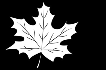 silhouette of a maple leaf