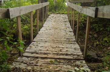a wooden bridge in the forest showered with autumn leaves
