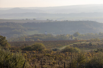 Obraz premium Nebel in den Bergen im Herbst in ungarn