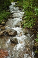a stream runs in the forest among large stones