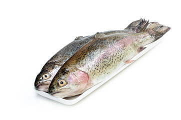 Fresh raw rainbow trout fish isolated on white