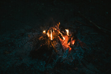 fire burning in the fireplace