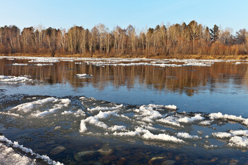 Beauyiful autumn landscape with white ice floes float on the blue water of the river against the backdrop of a forest on a sunny cold day in late autumn at sunset.  Natural bright background