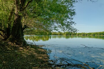 Fototapeta na wymiar Die Koldinger Seen, die Südliche Leineaue