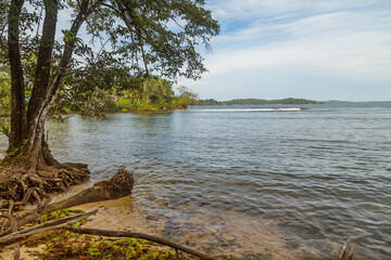 beach with trees in Panama