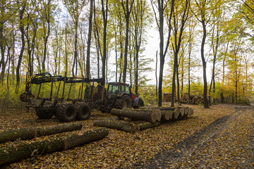 Schlepper im wald stehet für die Arbeit bereit © tamaslaza3