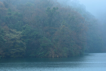 霧の池