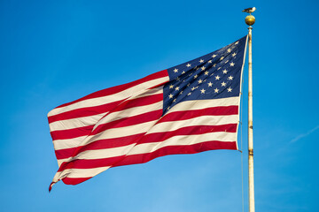 Fototapeta premium American flag waving against a beautiful sky