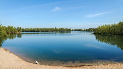 Obraz na płótnie Canvas Die Koldinger Seen, die Südliche Leineaue