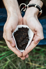 Asian culture. Chinese tea ceremony