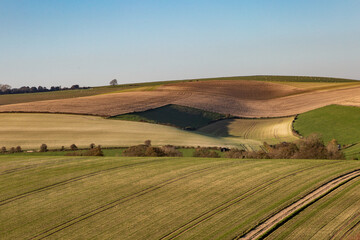 Fototapeta premium An Autumn Farm Landscape in the South Downs