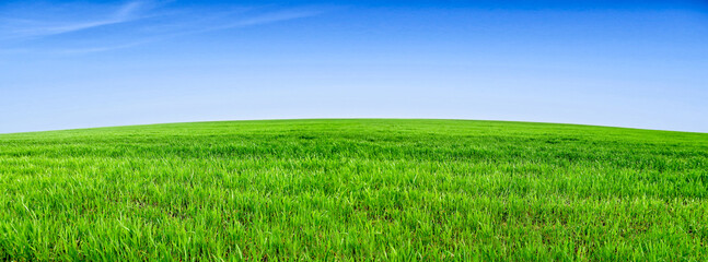 Scenic landscape background of blue sky and green meadow grass. Wide view of rural scenery. Natural...
