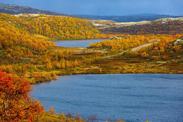 Lake with vegetation in the tundra in autumn. Kola Peninsula, Russia.