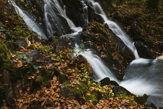 Woodland waterfall in Autumn at Tarn Hows, Lake District, Cumbria © Tom Eversley
