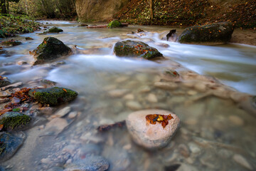 Couleurs automnale en Suisse © Olivier Rapin