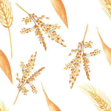 Watercolor hand painted nature grain fields seamless pattern with golden rye ears and cereals branches, orange leaves texture isolated on the white background for print design