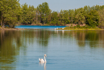 Die Koldinger Seen, die Südliche Leineaue