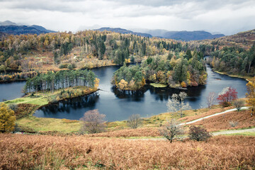 Fototapeta na wymiar Landscape in Autumn at Tarn Hows, Lake District, Cumbria