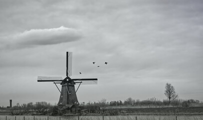Kinderdijk mills in Netherlands landscape