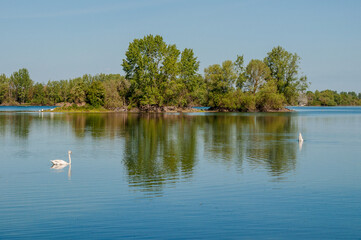 Die Koldinger Seen, die Südliche Leineaue