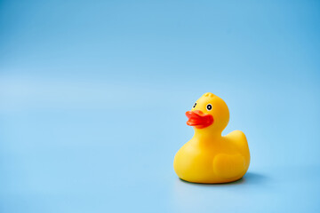 Isolated yellow rubber duck with a copy space on a blue background
