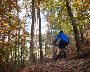 Obraz premium man on mountainbike on trail in autumn forest near zeist in the netherlands