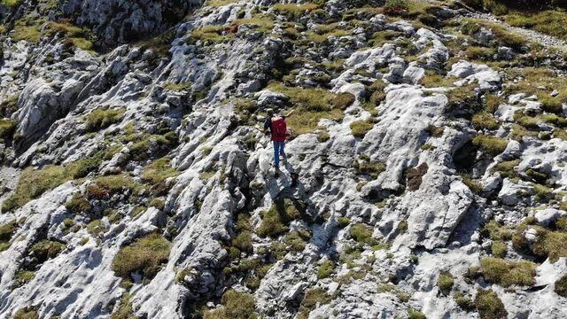 Escursione con il cane in montagna
