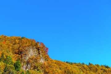 【秋イメージ】鮮やかな紅葉