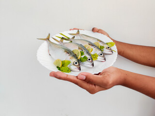 Close Up View Of Indian Mackerel Fish Decorated With Herbs. holding with hand.