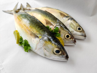 Close Up View Of Indian Mackerel Fish Decorated With Herbs. Isolated On White Background