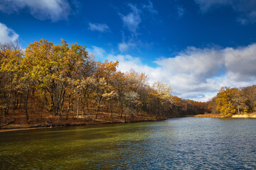 Autumn deciduous forest, lake, pond. Yellow oaks. Clouds in the sky
