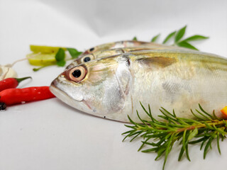 Close Up View Of Indian Mackerel Fish Decorated With Herbs. Isolated On White Background