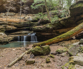 Water and Fallen Tree