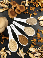 Heilpilze - Asiatische Pilze als Heilmittel