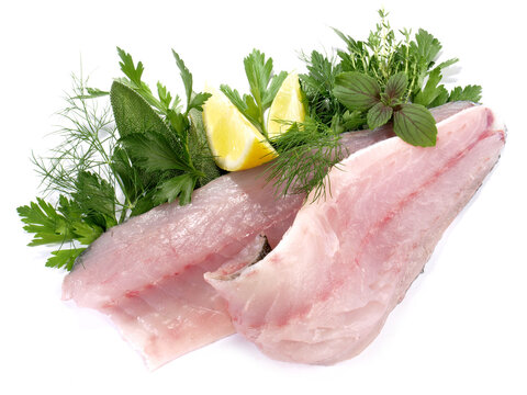 Loup de mer - Wolfsbarsch