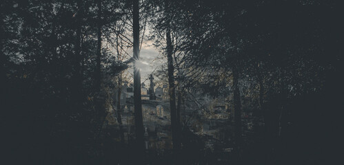 Obraz premium Old spooky cemetery in the woods. Haunted cemetery. Scary place. 
