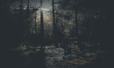 
Old spooky cemetery in the woods. Haunted cemetery. Scary place.
